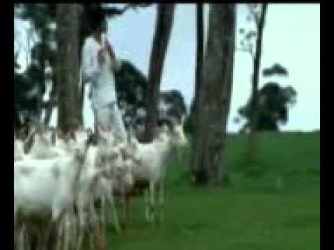 us larki pe dil aaya hai jisne mujhe staya hai
