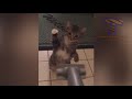 FUNNY VIRAL CATS, BEST OF THE BEST VIDEOS 2018 😹😸