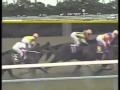 第54回菊花賞(1993年11月7日 ビワハヤヒデ).avi