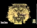 Lil Boosie: Heart Of A Lion 2014