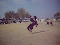 jr on a crazy ass pony