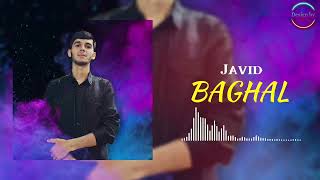 Javid - Baghal | Човид - Багал (2024)
