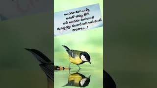 Nijam