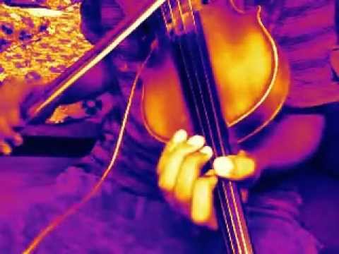 Vaseegara Zara zara (RHTDM) on violin