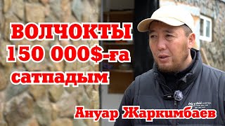 Волчокты 150 000$-Ға Сатпадым