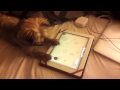 kai playing iPad