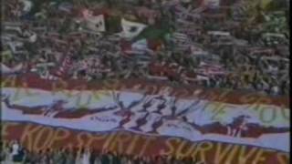 JjnXzdvc1R8 Video Image