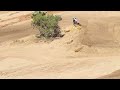 jeremy mcgrath