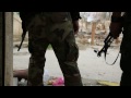 kurds