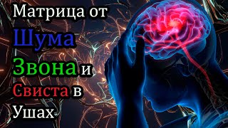 20 Звуков Против Шума, Звона И Свиста В Голове И Ушах. Остановите Свой Тинитус