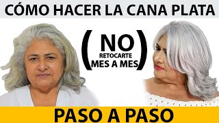 HAZ TU PELO BLANCO Y OLVIDA LOS RETOQUES MES A MES/ PASO A PASO