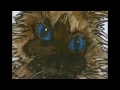 Neanderthals and Neurodiversity - A 10-Minute Overview [Draft 3]