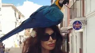 Carmen Di Pietro Cammina Con Un Pappagallo.