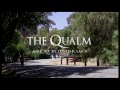 The Qualm