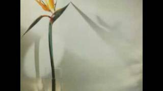 Watch New Musik Adventures video