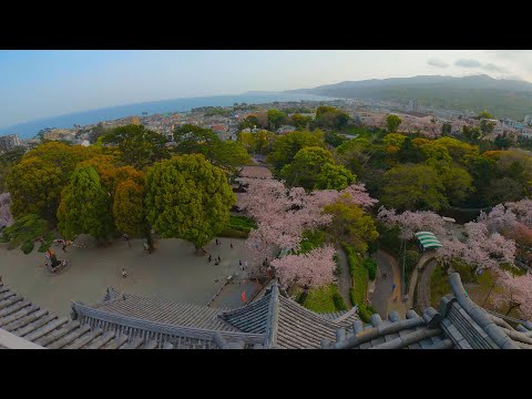 Kanagawa Walk - Odawara Castle - 4K