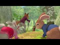Peter Rabbit | Chased by the Fox! | Action-Packed Adventures | Wizz Cartoons