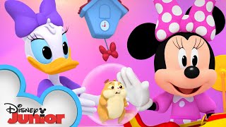Gilbert Sittin' | Minnie's Bow-Toons 🎀 | @Disney Junior