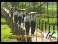 Giang Son Travel