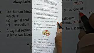 Neet Pyq Aipmt Pyq Ncert Questions