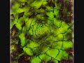 Bill Laswell, Atom Heart, Tetsu Inoue - Landing Circle
