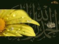 LA ILAHA IL-LAL-LAHU-[Bahramji & Maneesh de Moor]
