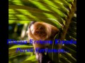 Lagu Melayu Malaysia Rautan Kelapa Muda Askmit Studio Lagu Baru images Lagu Melayu Malaysia Rautan Kelapa Muda Askmit Studio Lagu Baru
