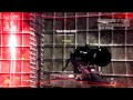 "Predators" OpTic Predator | fuzi8n