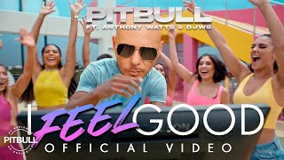 Watch Pitbull I Feel Good feat Anthony Watts  Djws video
