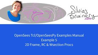 OpenSees/OpenSeesPy Examples Manual 09: Ex5 2D Frame, RC & W section Procs