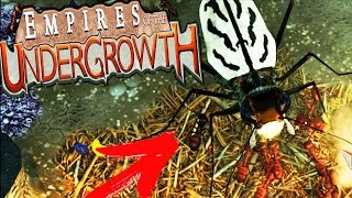 Empire Of The Undergrowth - Queen Sized An Bugs Attacks, Updates - Eotu Game Gameplay