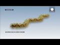 Was Sie über das Ebola-Virus wissen sollten