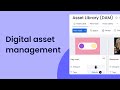 Digital asset management (DAM) | monday.com tutorials