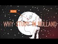 Why study in Holland?