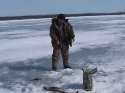 Перемёт на налима видео Перемёт на налима видео