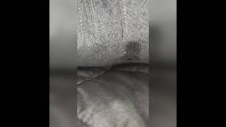 Bubbly Farts And Sharts In Underwear