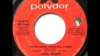 Watch James Brown I Never Never Never Will Forget video