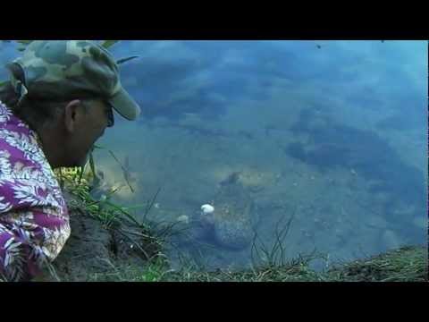Survival Fish Traps