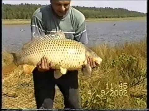 рыбалка река сула краснодарский край рыбалка река сула краснодарский край