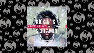 Watch Krizz Kaliko Dream Of A King feat Prozak  Mayday video