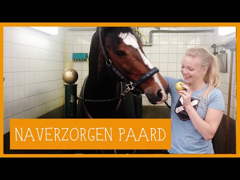 hoe krijg je een baard