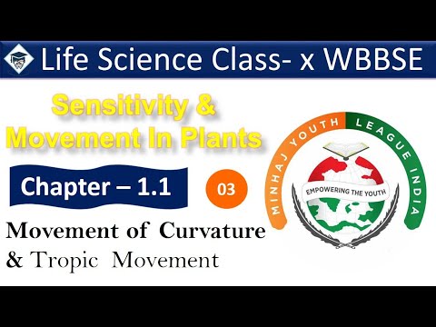 Class X Life Science Chapter 1.1 || Part 3 || Sensitivity and movements In Plant || Tropic Movement