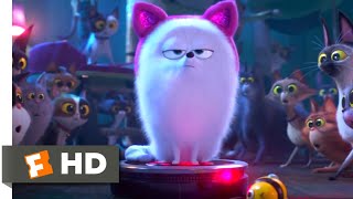 The Secret Life of Pets 2 - Dog vs. Cats Scene (5/10) | Movieclips
