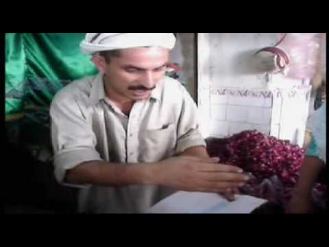 Pakistan Rat People
