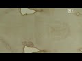 shroud