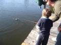 4 year old son catches a big one while I am in the house fetching him some more bait