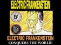 Electric Frankenstein - New Rage