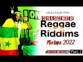 Best Of 2019 - 2022 Reggae Riddims Mix (PART 1) Feat. Busy Signal, Jah Cure, Chris Martin, Ginjah