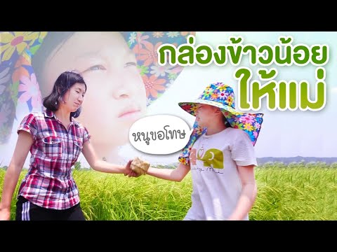 หนังสั้น กล่องข้าวน้อยให้แม่ short film ❤️ ตอง ติง โชว์ ❤️