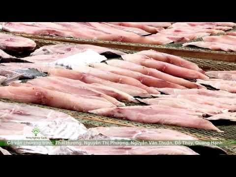 VỊ NGON RIÊNG BIỆT CỦA CÁ THU MỘT NẮNG ĐỒ SƠN